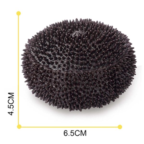 IQ Sea Urchin Puzzle - Image 3